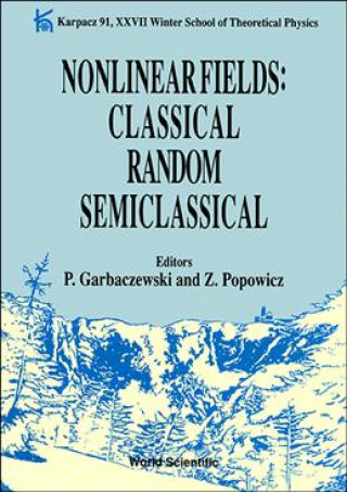 Nonlinear Fields