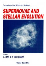 Supernovae and Stellar Evolution