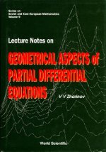 Lecture Notes On Geometrical Aspects Of Partial Differential Equations