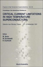 Critical Current Limitation in High Temperature Superconductors