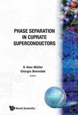 Phase Separation in Cuprate Superconductors