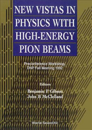 New Vistas in Physics with High-energy Pion Beams