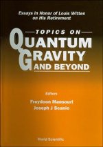 Topics on Quantum Gravity and Beyond