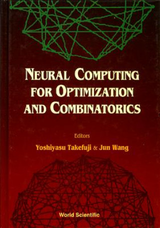 Neural Computing For Optimization And Combinatorics
