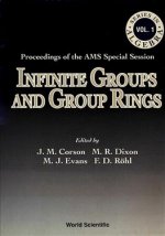 Infinite Groups and Group Rings
