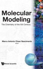 Molecular Modelling: The Chemistry Of The 21st Century