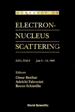 Electron-Nucleus Scattering