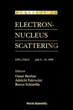 Electron-Nucleus Scattering