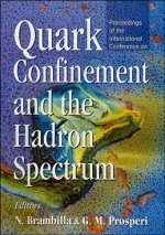 Quark Confinement and the Hadron Spectrum