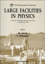 Large Facilities in Physics