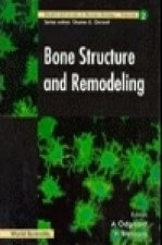 Bone Structure and Remodelling