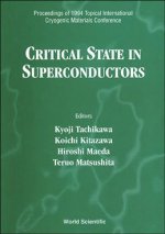 Critical State in Superconductors