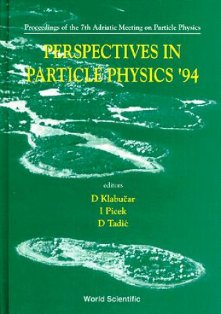 Perspectives in Particle Physics