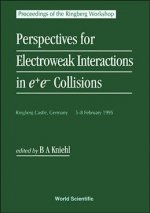 Perspectives for Electroweak Interactions in e+e- Collisions