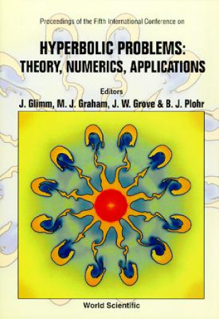 Hyberbolic Problems - Theory, Numerics, Applications
