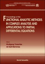 Functional Analytic Methods in Complex Analysis and Applications for Partial Differential Equations