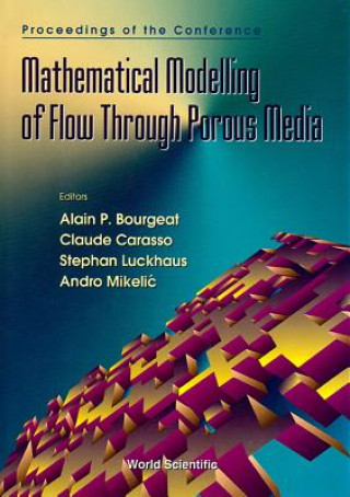 Mathematical Modelling of Flow Through Porous Media