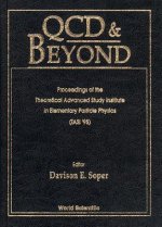 QCD and Beyond