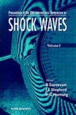 Shock Waves