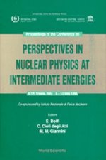 Perspectives in Nuclear Physics at Intermediate Energies