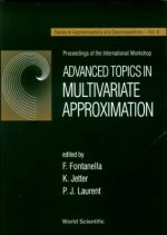 Advanced Topics in Multivariate Approximation