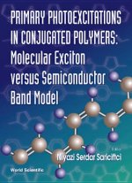 Primary Photoexcitations in Conjugated Polymers