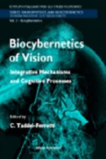 Biocybernetics Of Vision: Integrative Mechanisms And Cognitive Processes