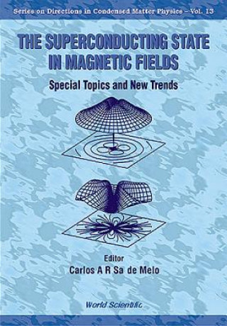 Superconducting State In Magnetic Fields, The: Special Topics And New Trends