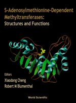 S-adenosylmethionine-dependent Methyltransferases: Structures And Functions