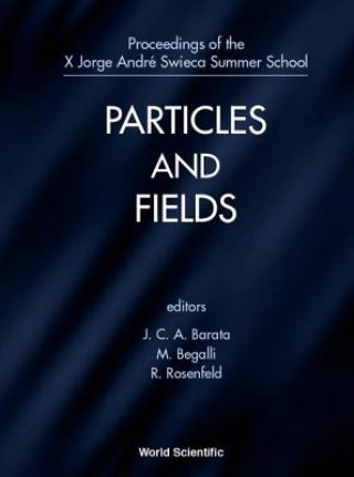 Particles And Fields - Proceedings Of The X Jorge Andre Swieca Summer School