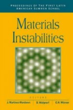Materials Instabilities - Proceedings Of The First Latin American Summer School