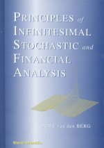 Principles Of Infinitesimal Stochastic And Financial Analysis