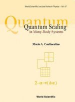 Quantum Scaling in Many-body Systems