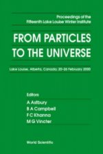 From Particles To The Universe - Proceedings Of The Fifteenth Lake Louise Winter Institute