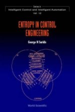 Entropy In Control Engineering