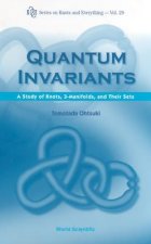 Quantum Invariants: A Study Of Knots, 3-manifolds, And Their Sets