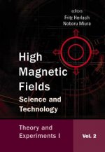 High Magnetic Fields: Science And Technology - Volume 2: Theory And Experiments I