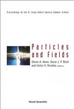 Particles And Fields: Proceedings Of The Xi Jorge Andre Swieca Summer School