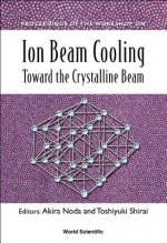 Ion Beam Cooling: Toward The Crystalline Beam - Proceedings Of The Workshop