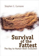 Survival Of The Fattest: The Key To Human Brain Evolution