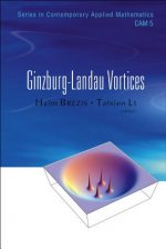 Ginzburg-landau Vortices