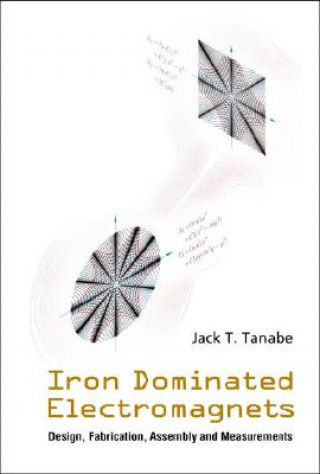 Iron Dominated Electromagnets