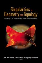 Singularities In Geometry And Topology - Proceedings Of The Trieste Singularity Summer School And Workshop