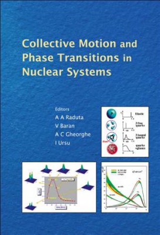 Collective Motion And Phase Transitions In Nuclear Systems - Proceedings Of The Predeal International Summer School In Nuclear Physics