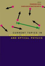 Current Topics In Atomic, Molecular And Optical Physics: Invited Lectures Of Tc-2005