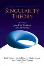 Singularity Theory: Dedicated To Jean-paul Brasselet On His 60th Birthday - Proceedings Of The 2005 Marseille Singularity School And Conference