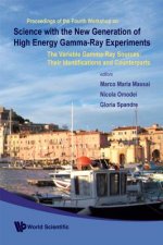 Science With The New Generation Of High Energy Gamma-ray Experiments: The Variable Gamma-ray Sources: Their Identifications And Counterparts - Proceed