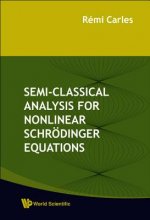 Semi-classical Analysis For Nonlinear Schrodinger Equations