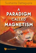 Paradigm Called Magnetism, A