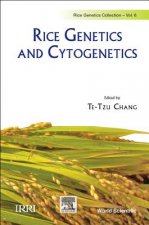 Rice Genetics And Cytogenetics - Proceedings Of The Symposium